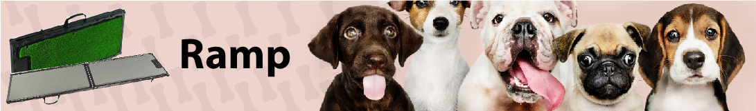 dog banner image